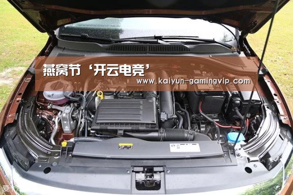 燕窝节‘开云电竞’(图2) 开云赛事