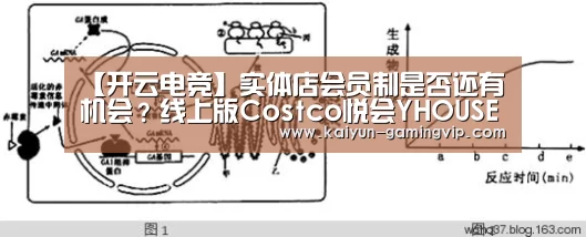 【开云电竞】实体店会员制是否还有机会?线上版Costco悦会YHOUSE率先抢跑(图2) 开云电竞