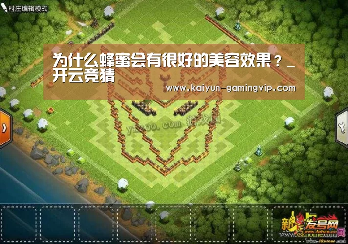 为什么蜂蜜会有很好的美容效果?_开云竞猜(图2) 开云竞猜