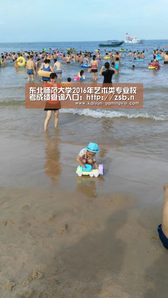 东北师范大学2016年艺术类专业校考成绩查询入口:http://zsb.nenu.edu.cn/bk_wscjcx.h【开云电竞】(图3) 开云直播