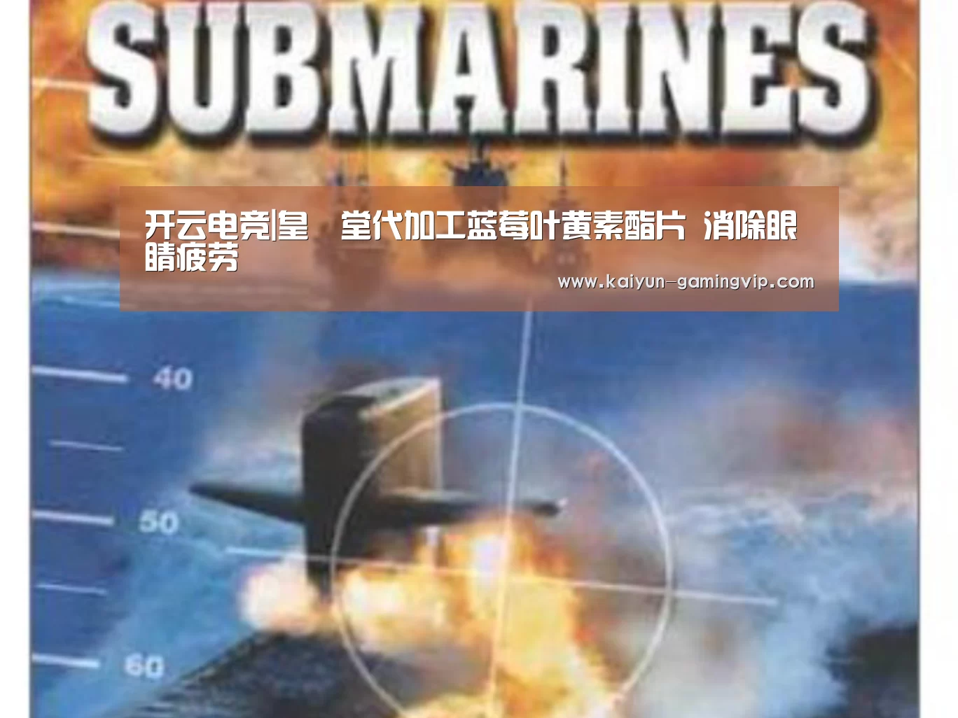 开云电竞|皇菴堂代加工蓝莓叶黄素酯片 消除眼睛疲劳(图3) 开云直播